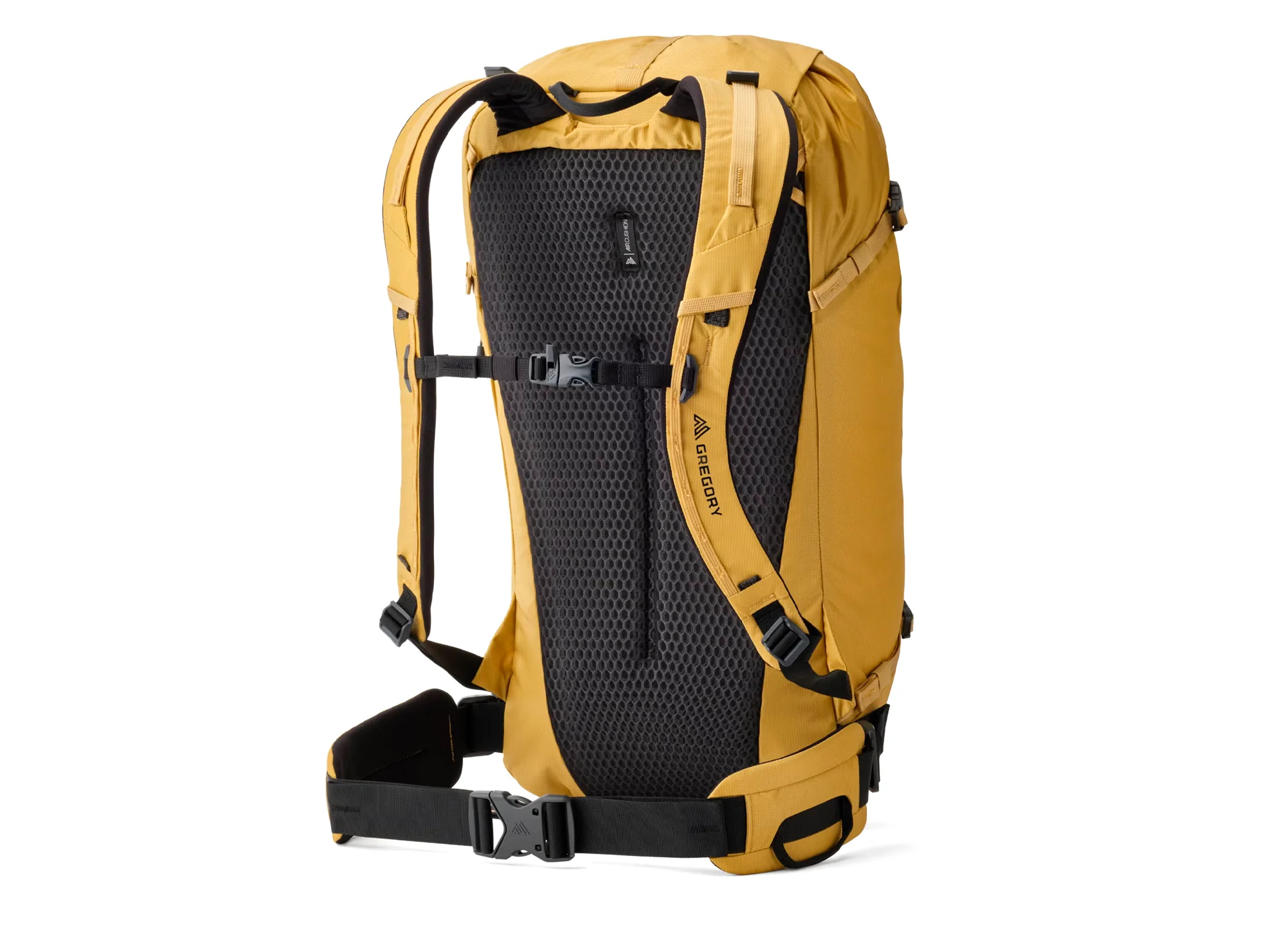 Gregory Alpinisto 20 in Alpine Glow - Image 2