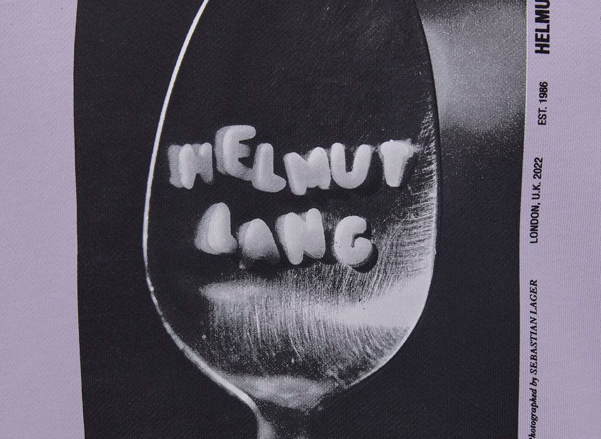 Helmut Lang Photo Hoodie - Image 2