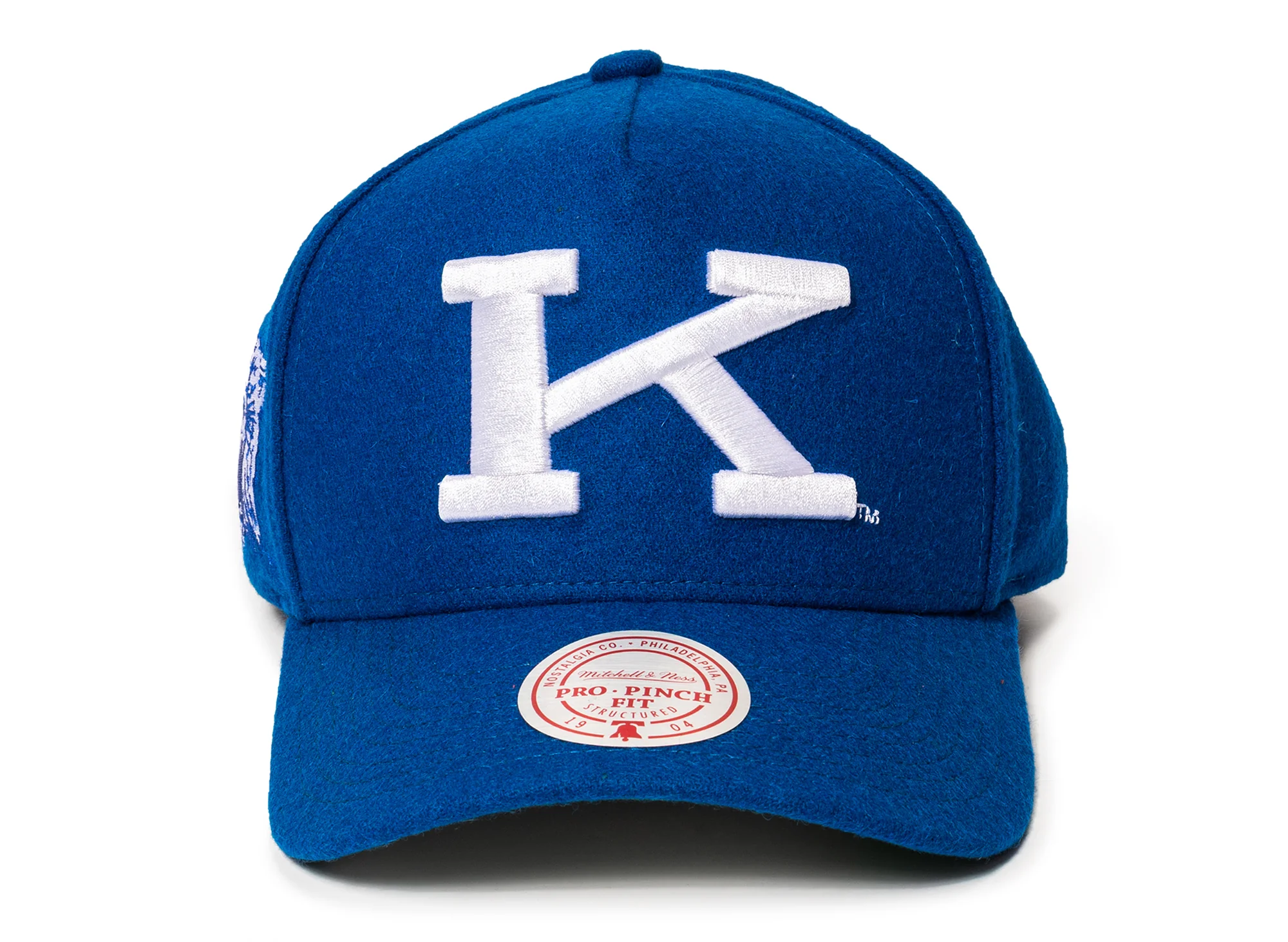 Mitchell & Ness Kicking Wool Pro Strapback V Kentucky Wildcats - Image 2