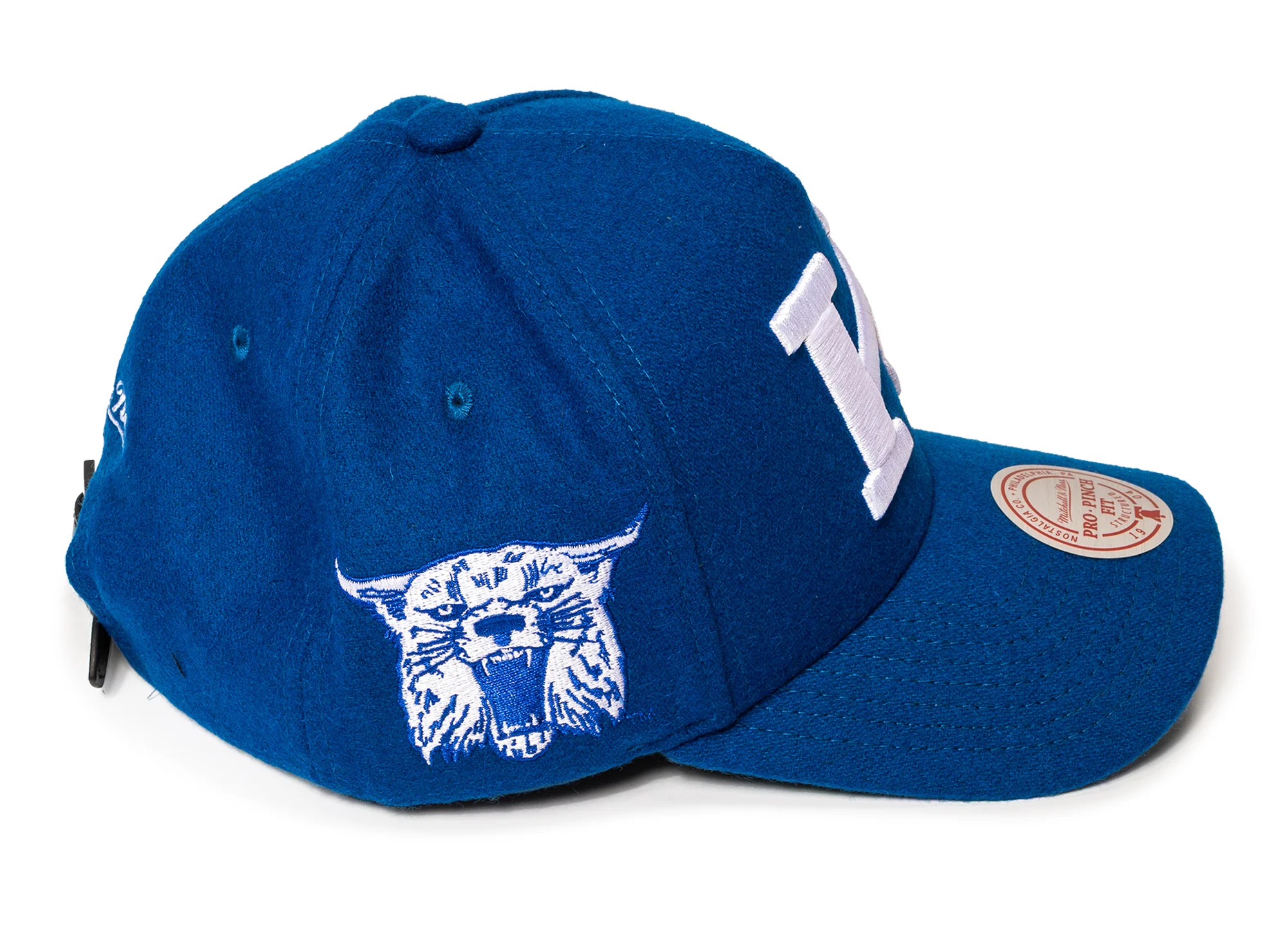 Mitchell & Ness Kicking Wool Pro Strapback V Kentucky Wildcats - Image 3