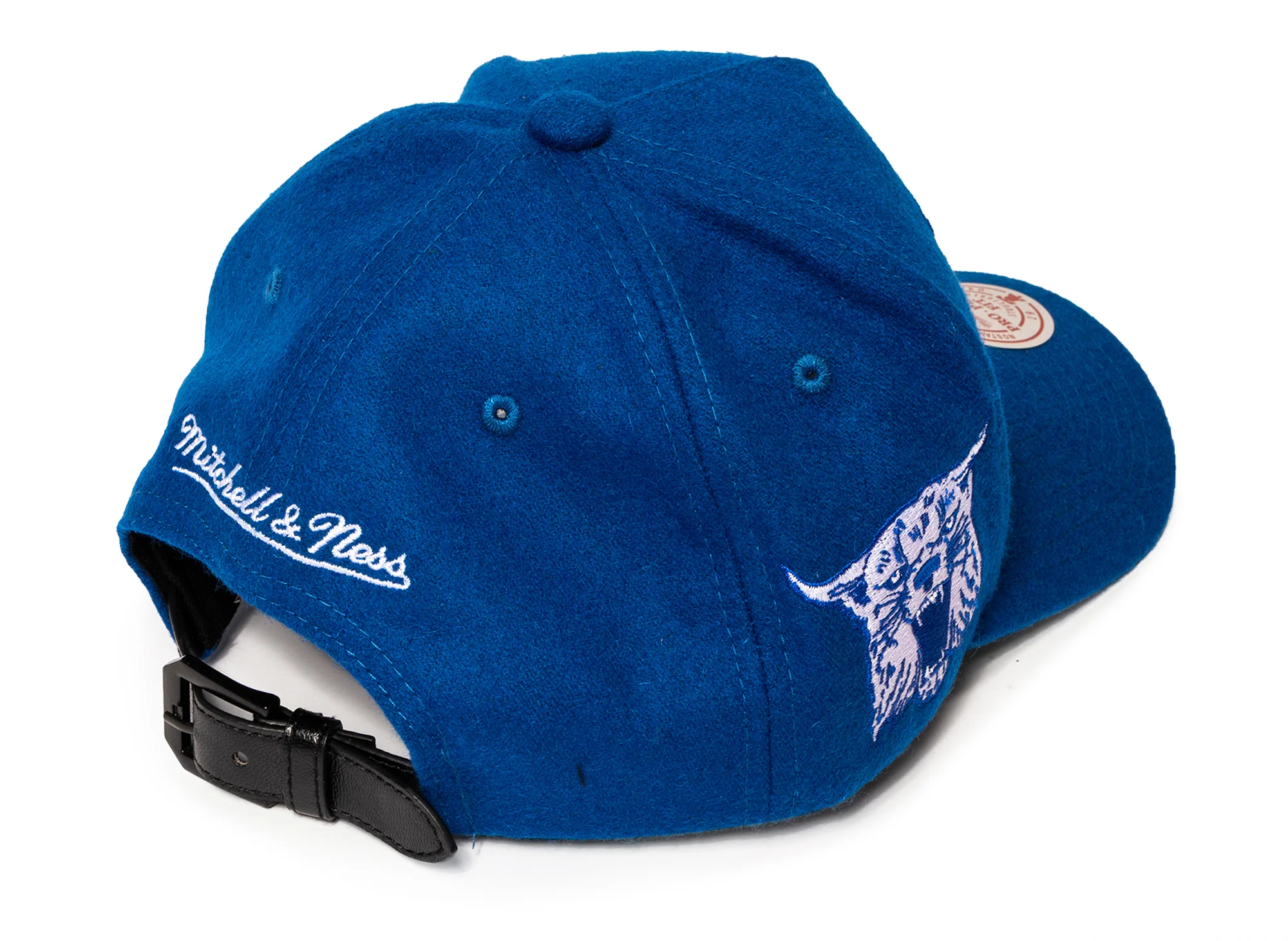 Mitchell & Ness Kicking Wool Pro Strapback V Kentucky Wildcats - Image 4