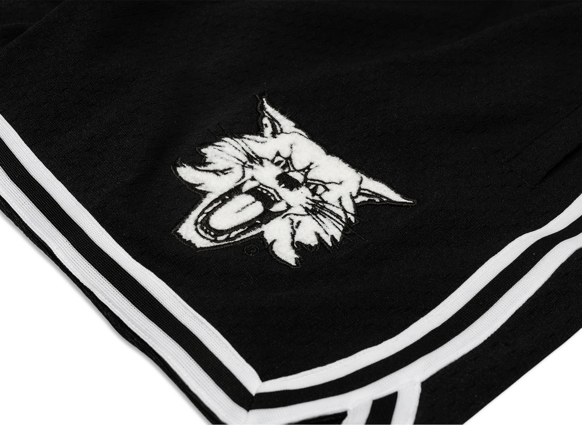 Mitchell & Ness Oneness Kentucky Wildcats Game Day Shorts in Black - Image 2