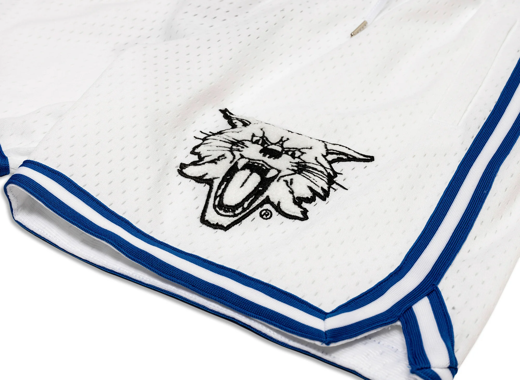 Mitchell & Ness Oneness Kentucky Wildcats Game Day Shorts in White - Image 2