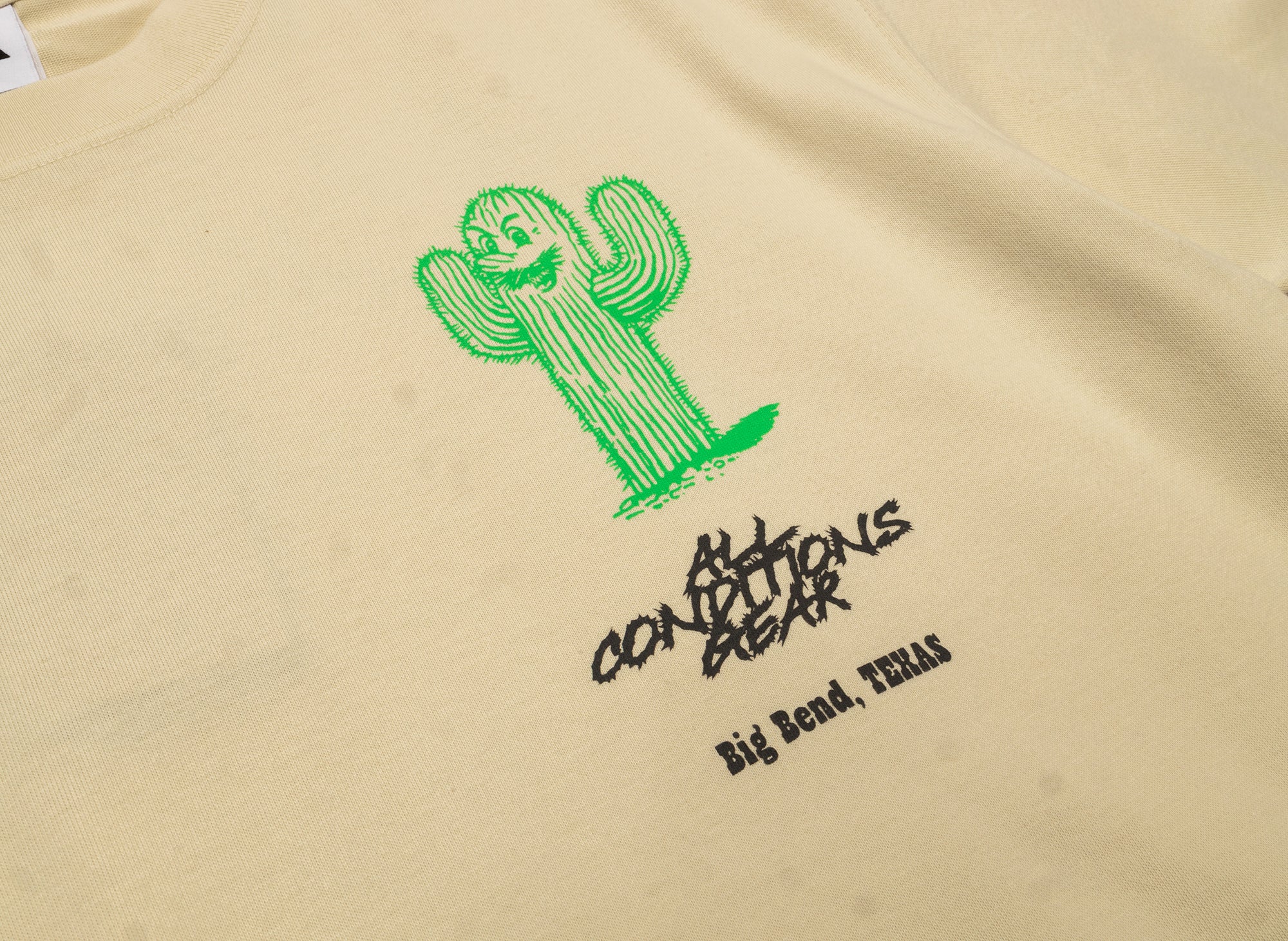 Nike ACG OC Cactus Tee - Image 3