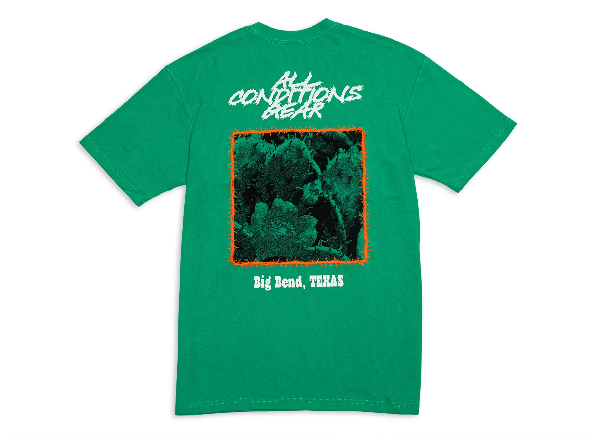 Nike ACG OC Cactus Tee - Image 2