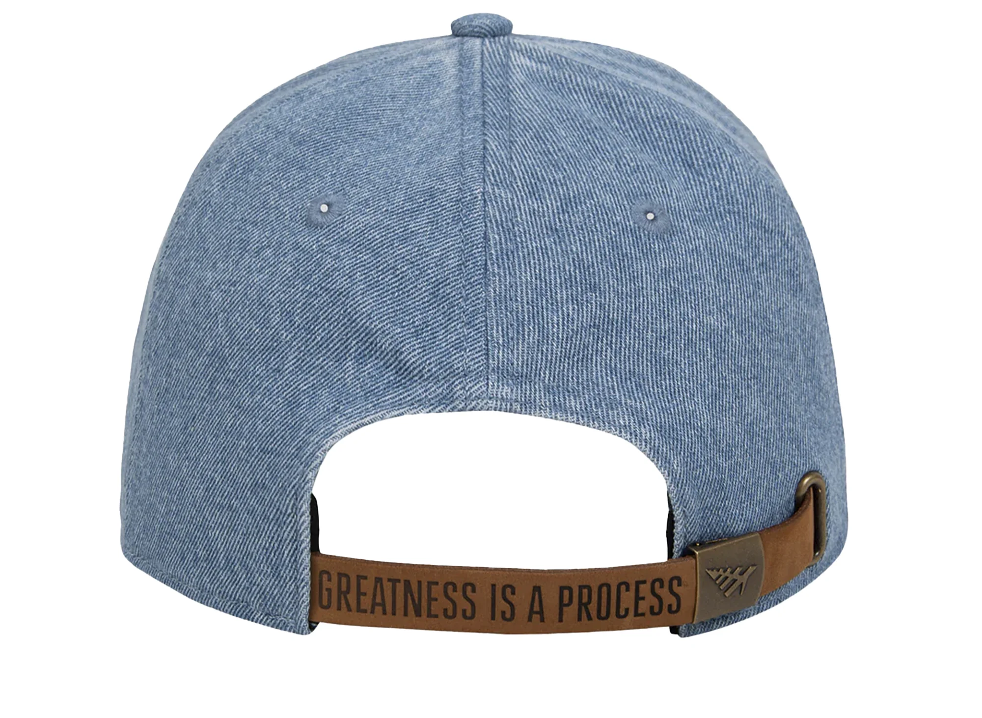 Paper Planes Dad Hat denim - Image 2