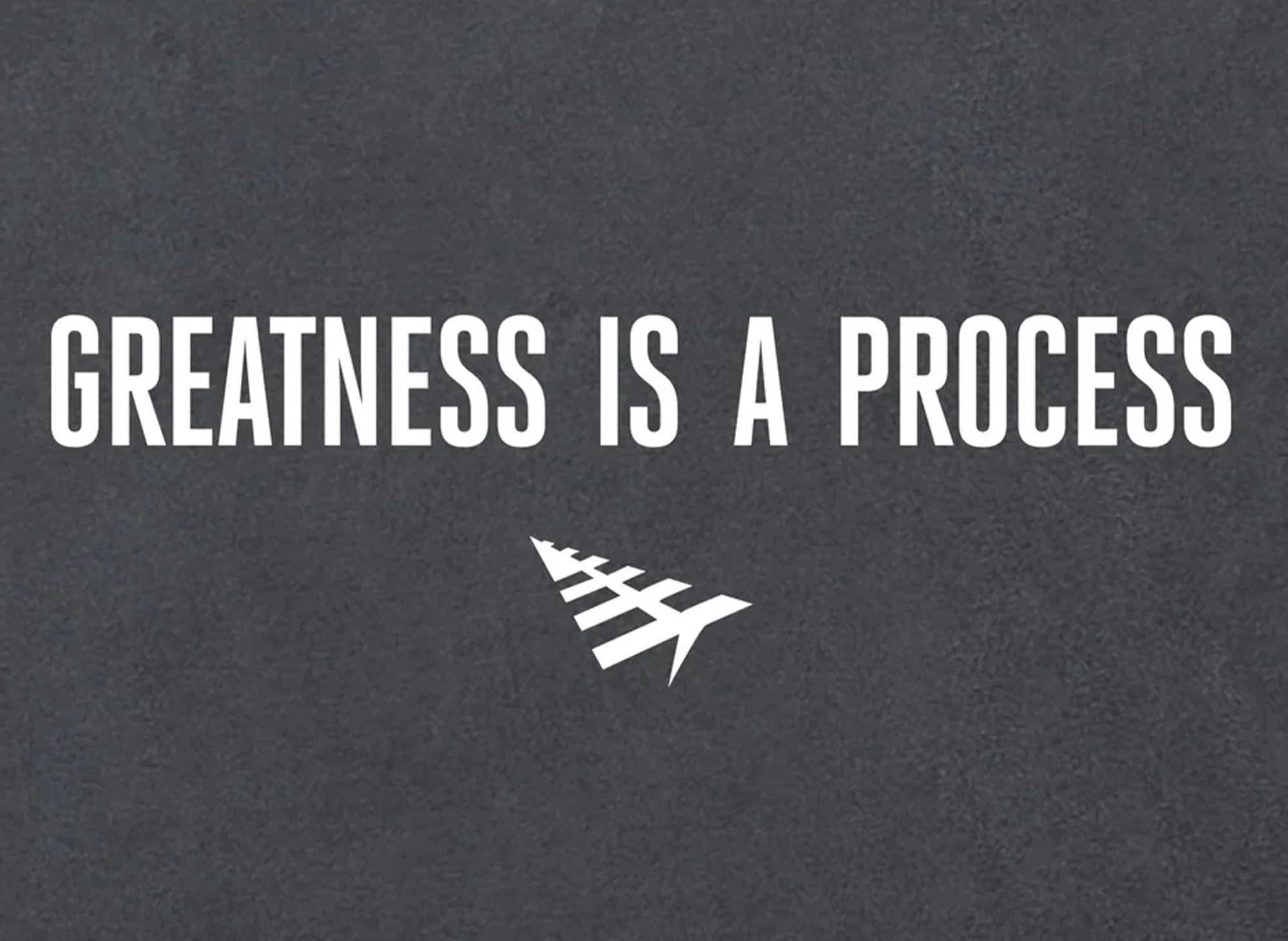 Paper Planes Greatness Is A Process Tee in Washed Black - Image 2