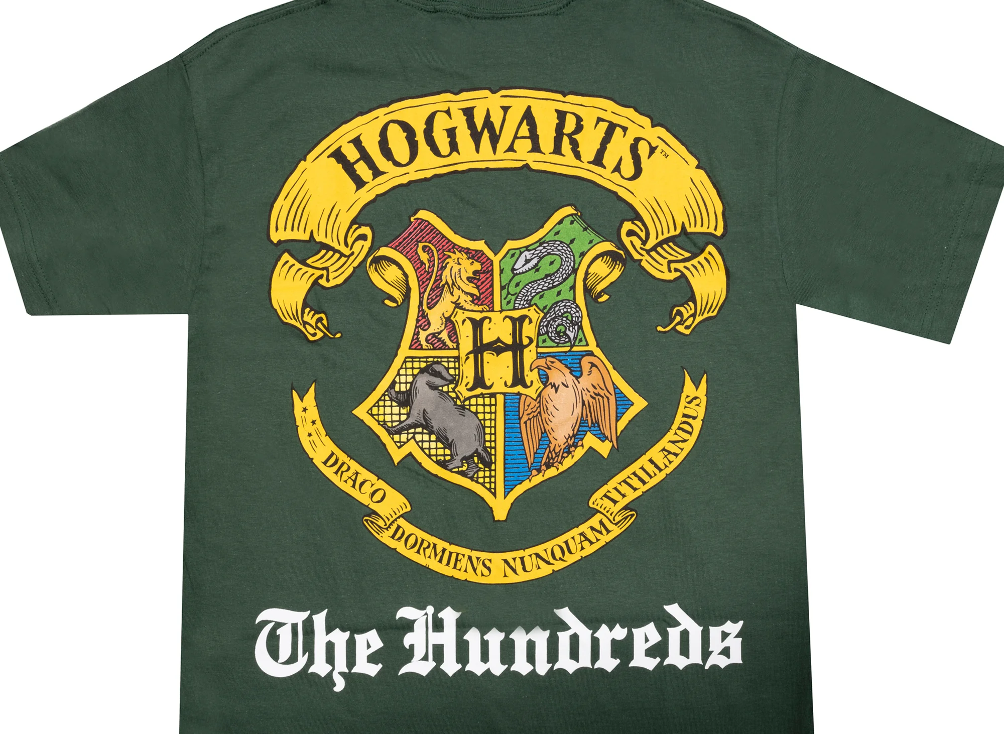 The Hundreds x Harry Potter Hogwarts Tee in Green - Image 2